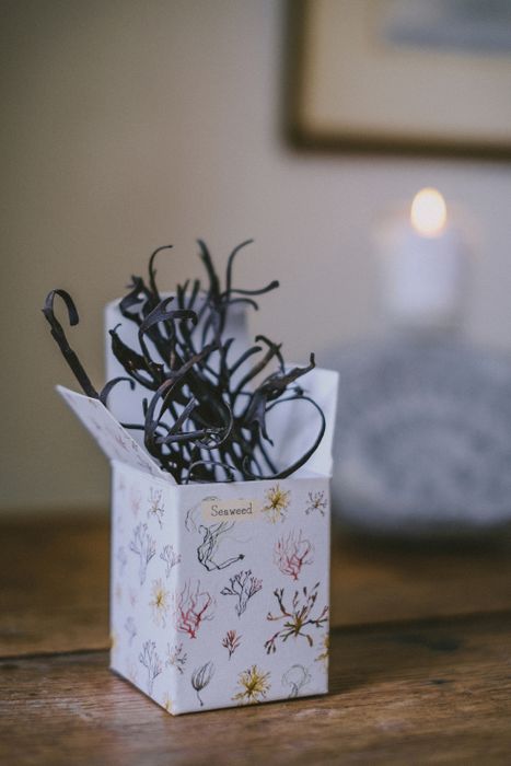 New Illustrated Home Fragrance Range