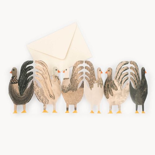 Chickens Concertina