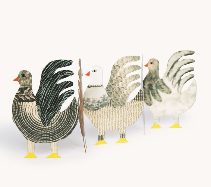 Chickens Concertina