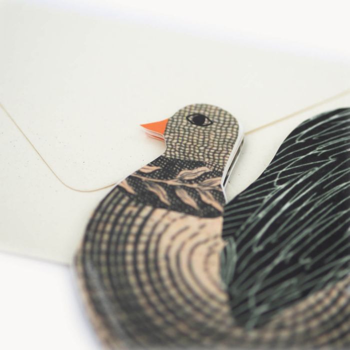 Chickens Concertina