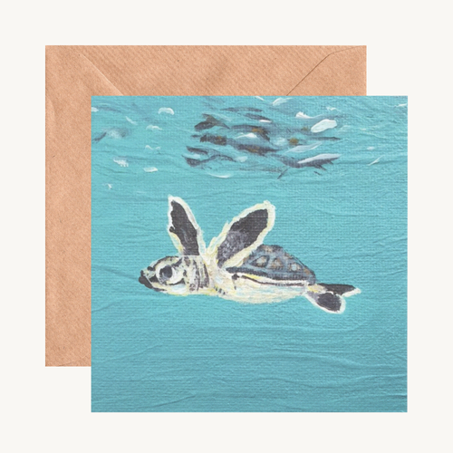 Sea Turtles Galore!