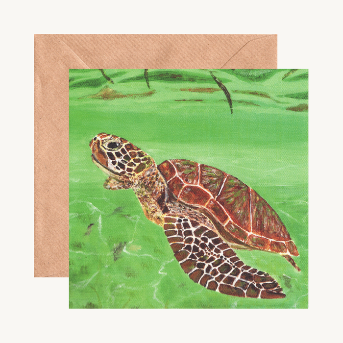 Sea Turtles Galore!