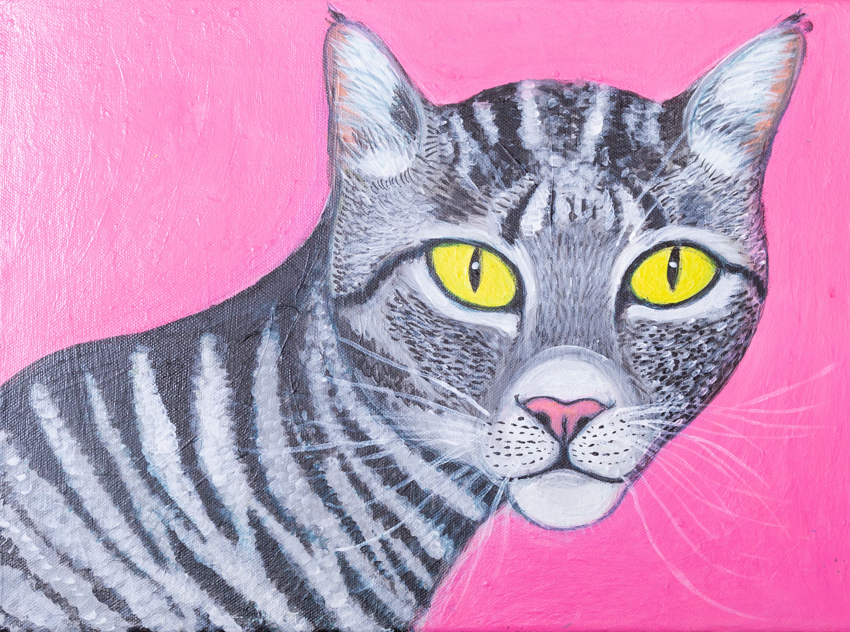  Fine Art Print: Cat in Pink