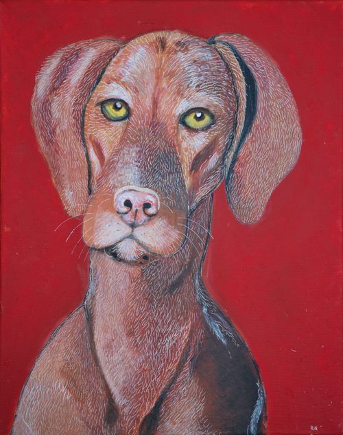 Fine Art Print: Hungarian Vizsla in Red
