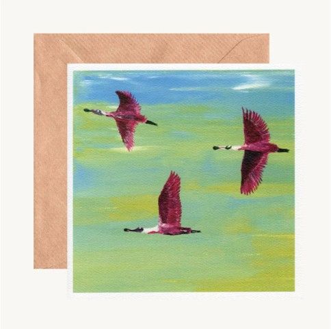 Collection of Fine Art Greeting Cards Featuring Vibrant Birdlife