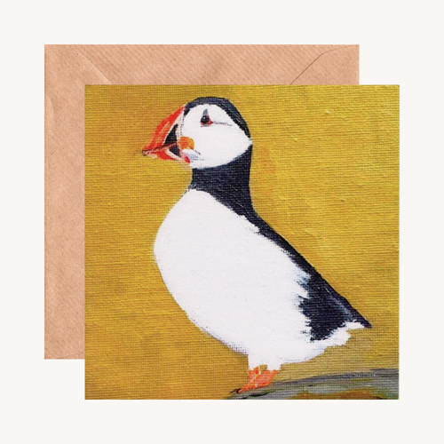 Collection of Fine Art Greeting Cards Featuring Vibrant Birdlife