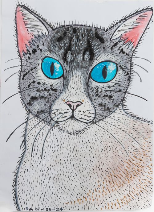 Greetings Card: Blue Eyed Cat