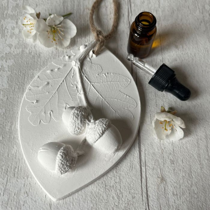 Large Acorn Botanical Cast Fragrance Diffuser