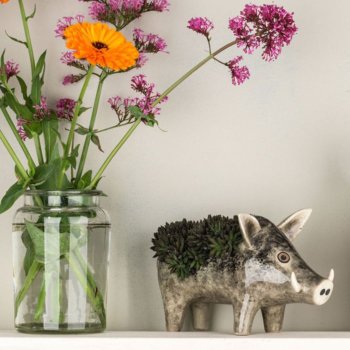 Wild Boar Planter 