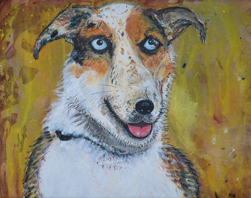 Greeting Card: Blue Eyed Border Collie