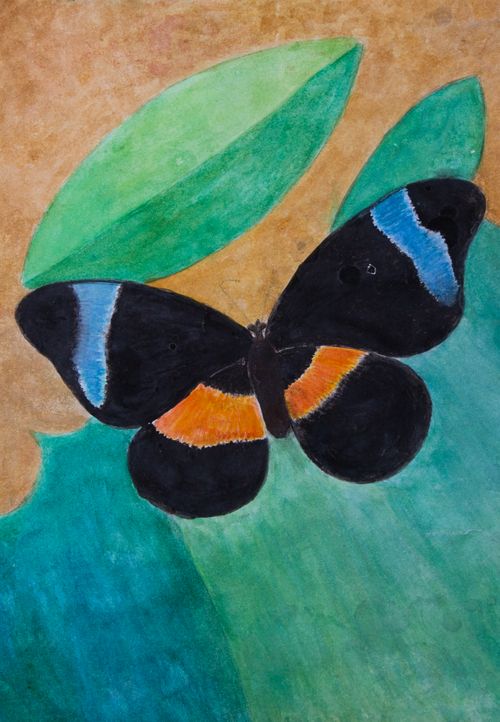 Greetings Card: Black Butterfly