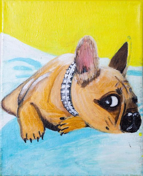 Greetings Card: Frenchie Puppy Dog