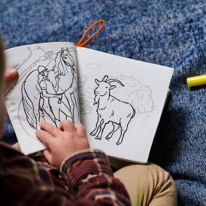 NEW: farmyard colour in book