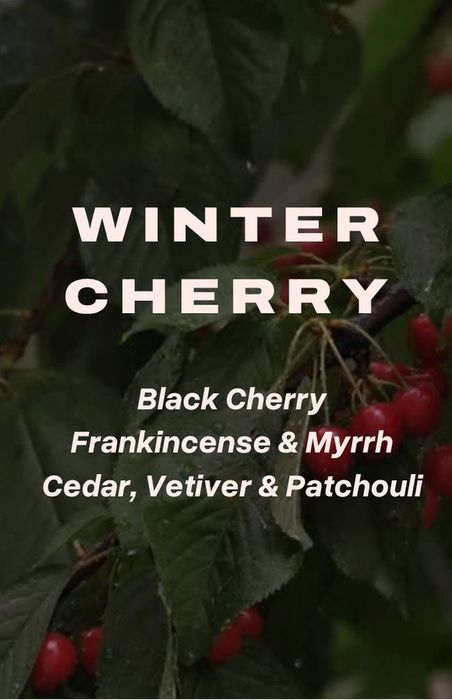 WINTER CHERRY |  refillable candle  |  200g 