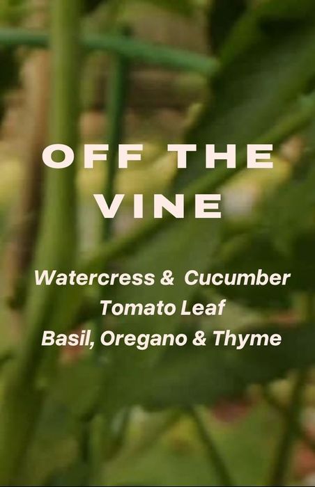 OFF THE VINE |  refillable candle  |  200g 