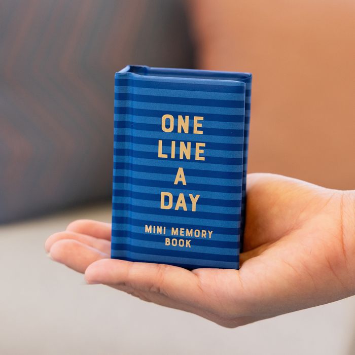 Navy Stripes Mini One Line a Day