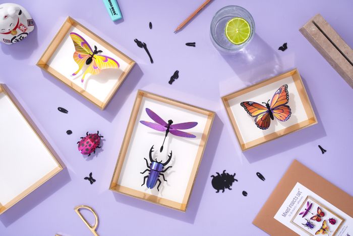 Paper Mixed Insect Set of 5