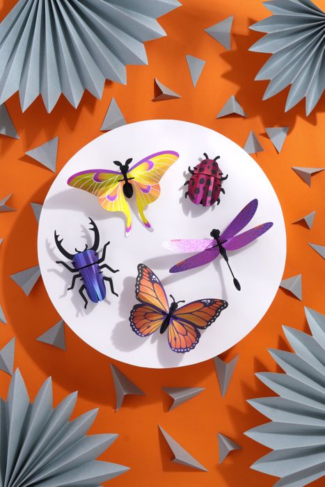 Paper Mixed Insect Set of 5