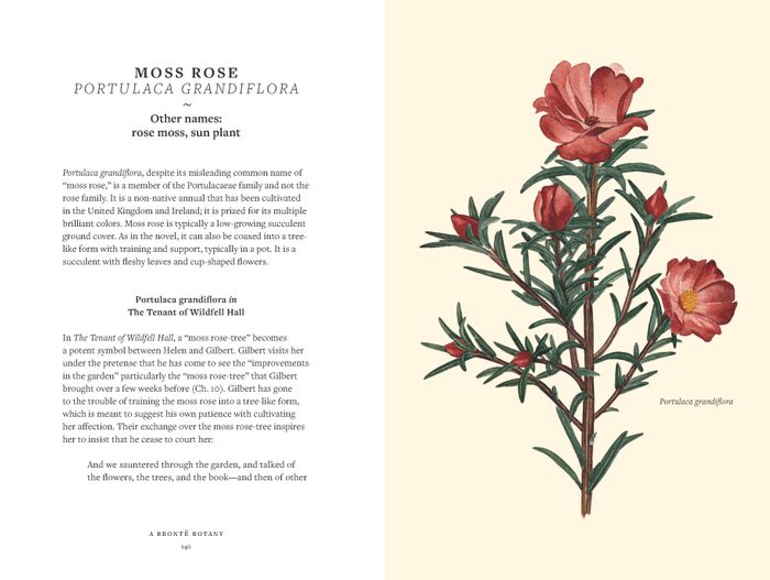A Brontë Botany