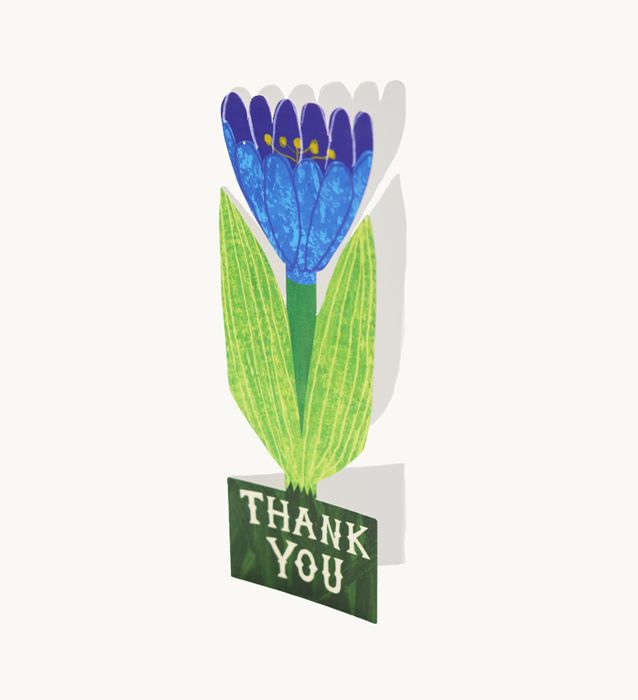 Thank You Tulip