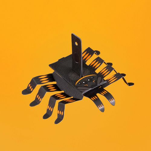 Create Your Own Wriggly Spider