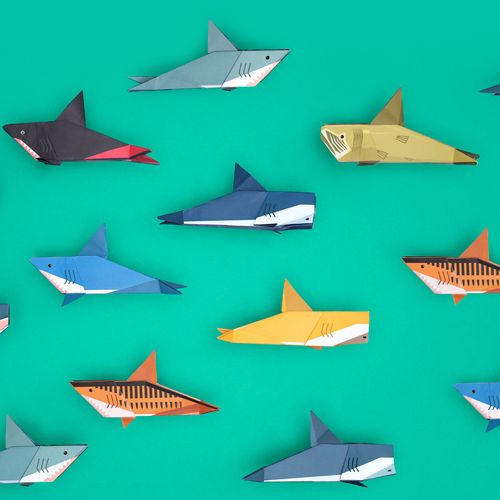Origami Sharks - Create and Display Kit