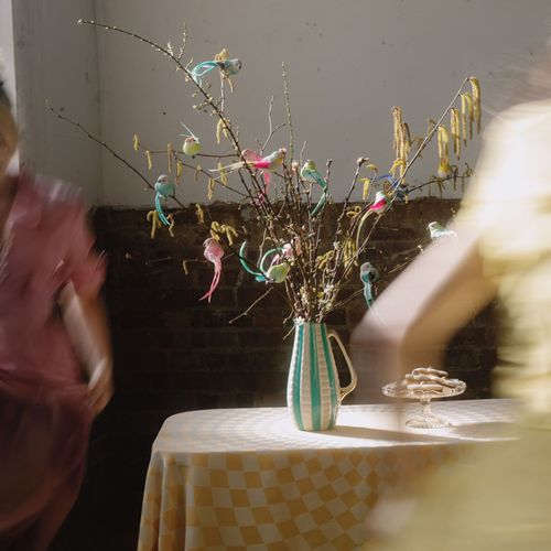 Bird & Butterfly Decorations