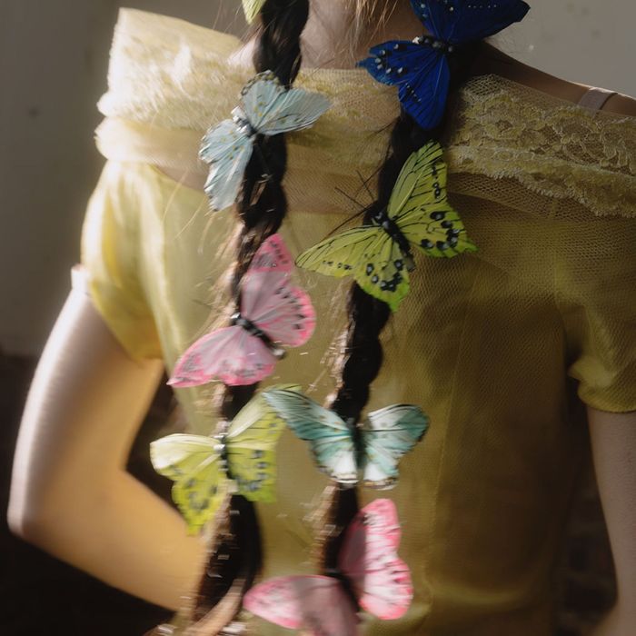 Bird & Butterfly Decorations