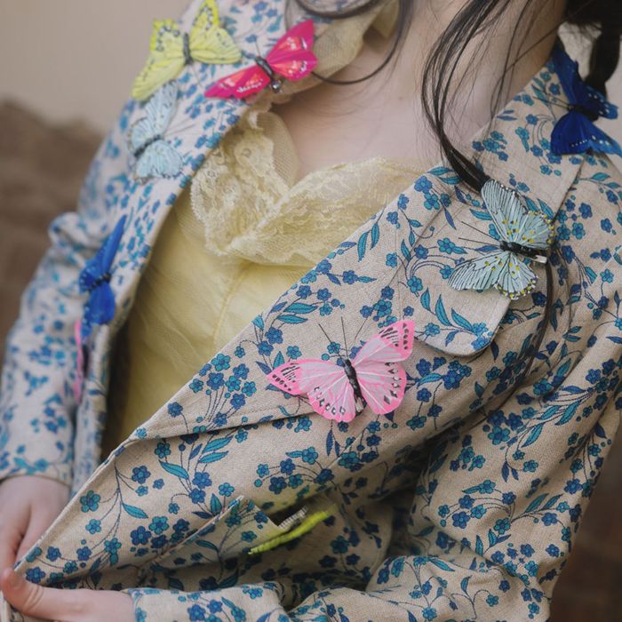 Bird & Butterfly Decorations