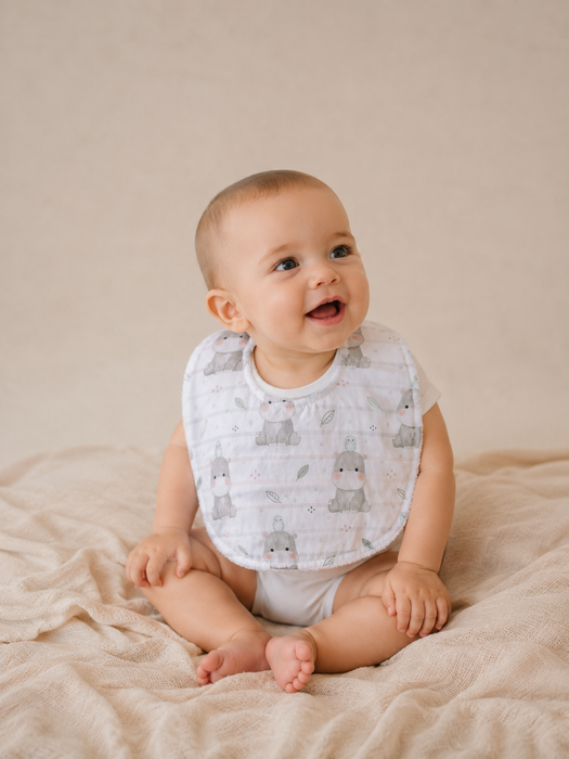 Bamboo Bib Gift Set