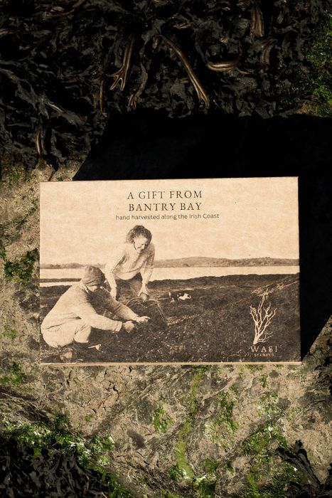 Bantry Bay Giftset