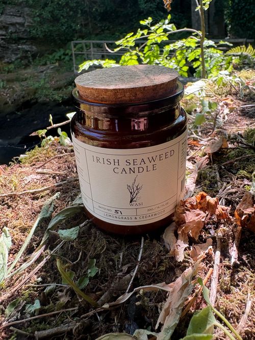 Seaweed Candle