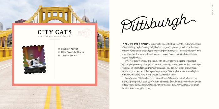 Where to Cheat on Your Cat: The Cat Lover’s Travel Guide (Hardback)