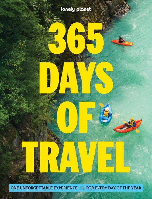 365 Days of Travel (Paperback)