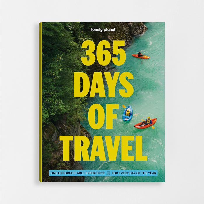 365 Days of Travel (Paperback)