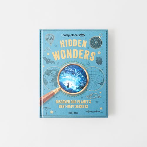 Hidden Wonders (Hardback)