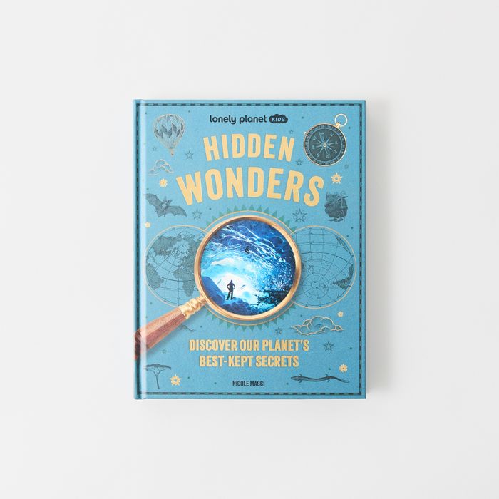Hidden Wonders (Hardback)