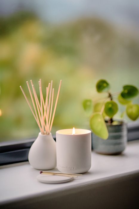 Nordic Cedar 280g Scented Candle