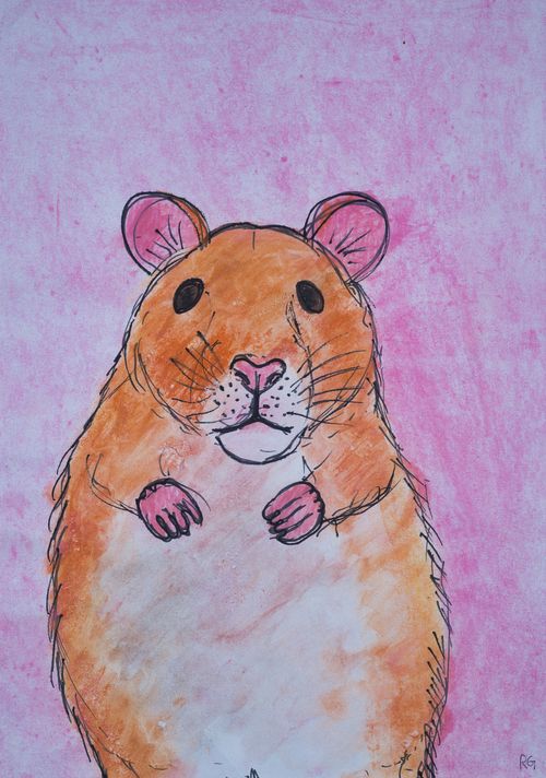 Greetings Card: Hamster in Pink