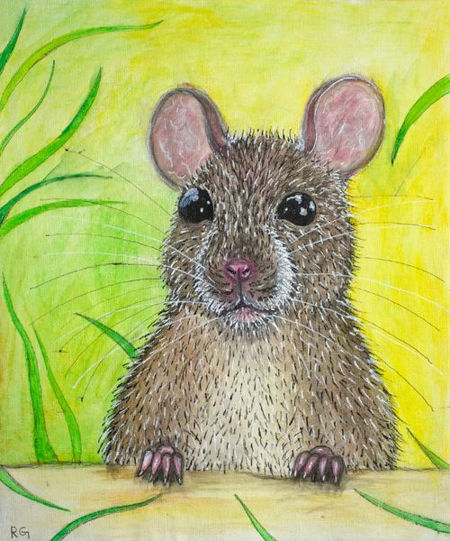 Greetings Card: Rat in Yellow