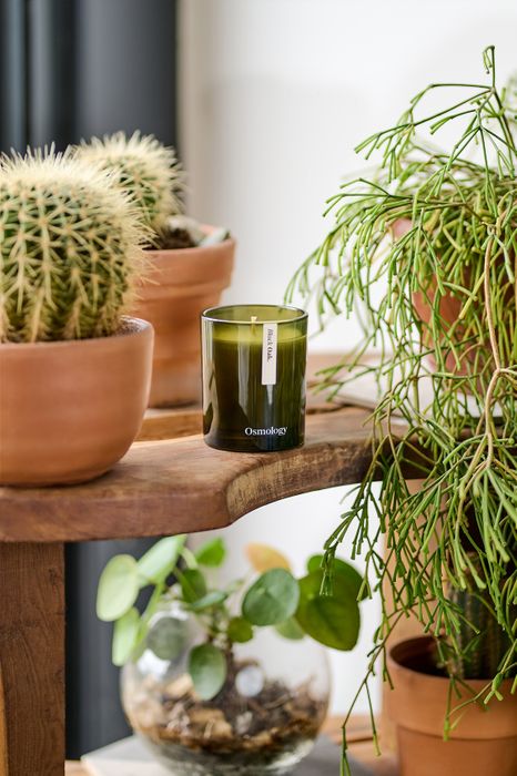 Black Oak 200g Scented Candle