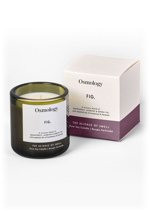 Fig 200g Scented Candle
