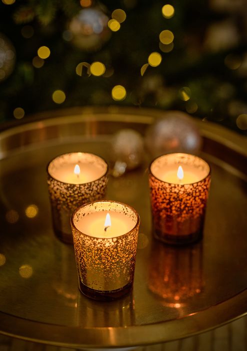 Winter Berry Travel Scented Candle