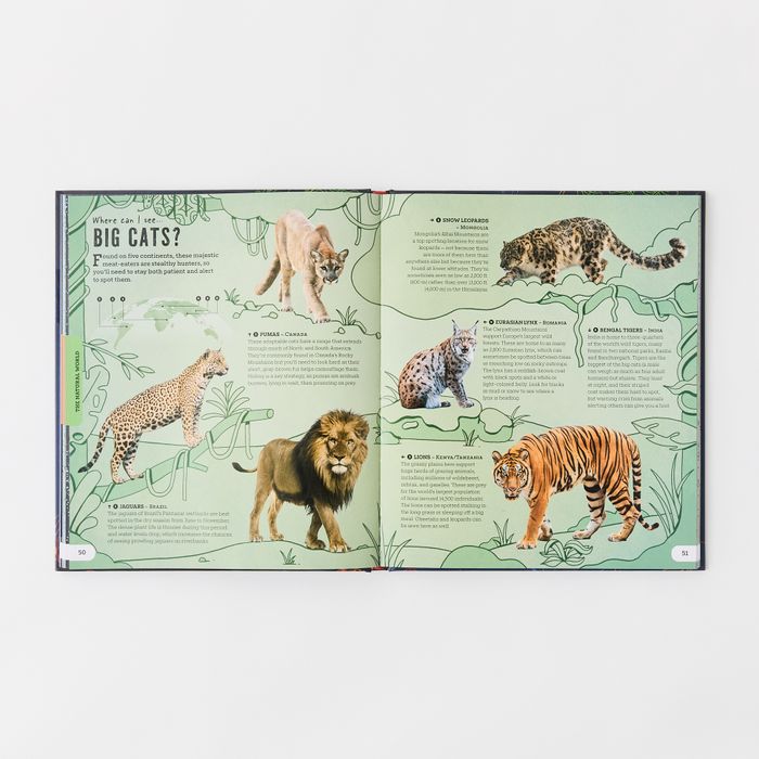Where In The World Can I See? (Hardback)