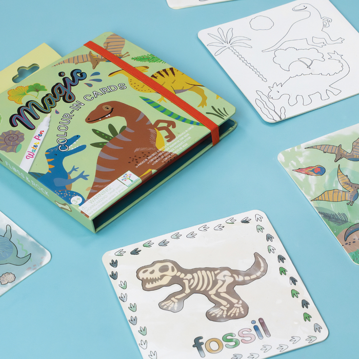 Magic Water Cards (Dinosaur) | Reusable Children's Drawing Cards | Floss & Rock