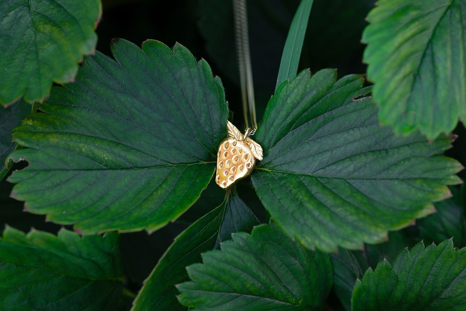 Strawberry