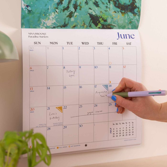 Nina Brooke Ocean Aerials 2027 LP Calendar