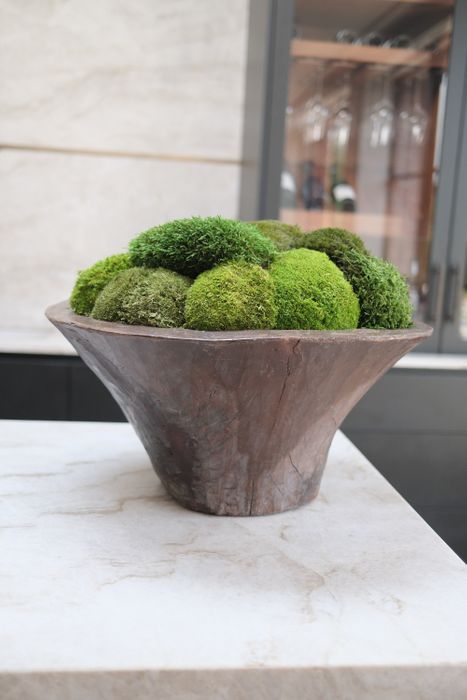 Moss bowl