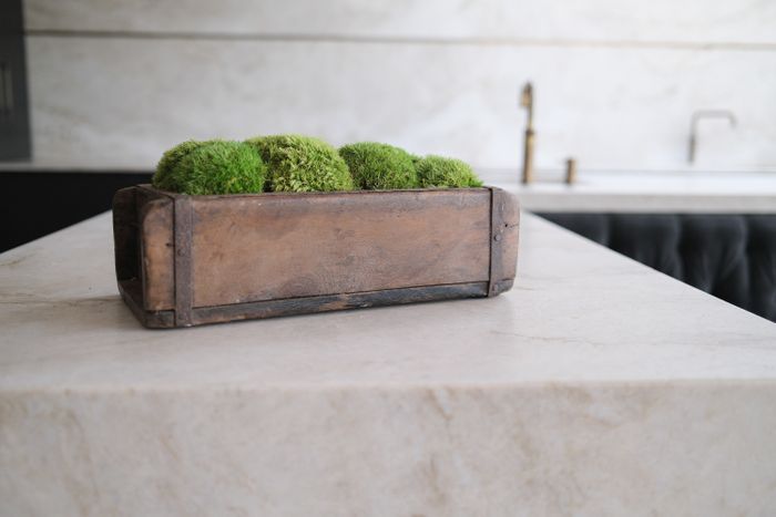 Moss bowl