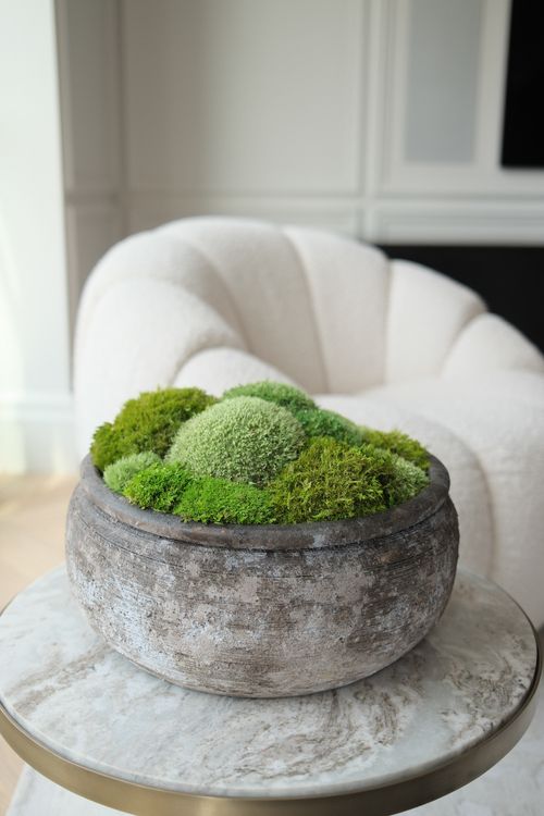 Preserved Moss Displays